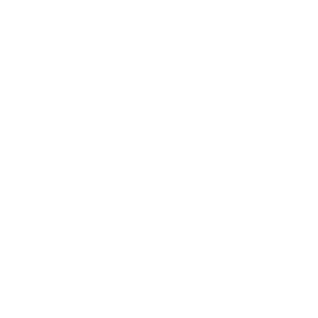 Hyundai (Clone 2)